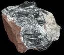 Metallic, Radiating Pyrolusite Cystals - Morocco #56958-1